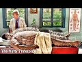 The Nutty Professor 2 2004 Movie Bangla Explanation The Nutty Professor Horror Movie Review