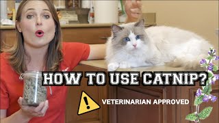 HOW TO USE CATNIP? | Veterinary approved