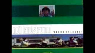 Neil Landstrumm - Home Delivery