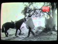 Pedro Messone El Solitario