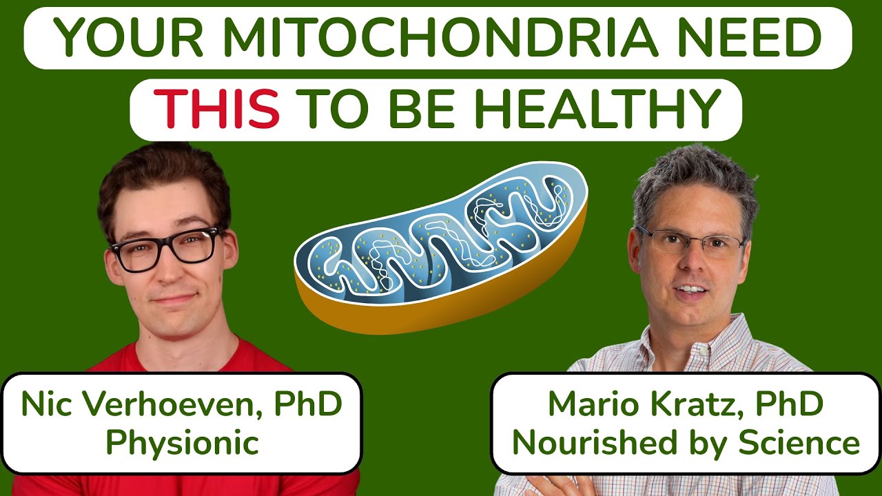 Your Mitochondria Need THIS to Be Healthy. A Conversation with Nicolas Verhoeven, PhD (Physionic).
