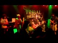 Tribal Seeds - The Harvest (Live) 