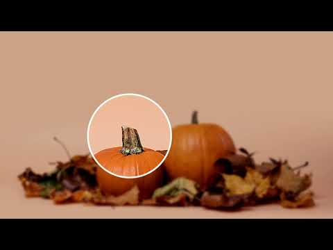 【MotionVFX】mTuber 2 DV 虫眼鏡エフェクト