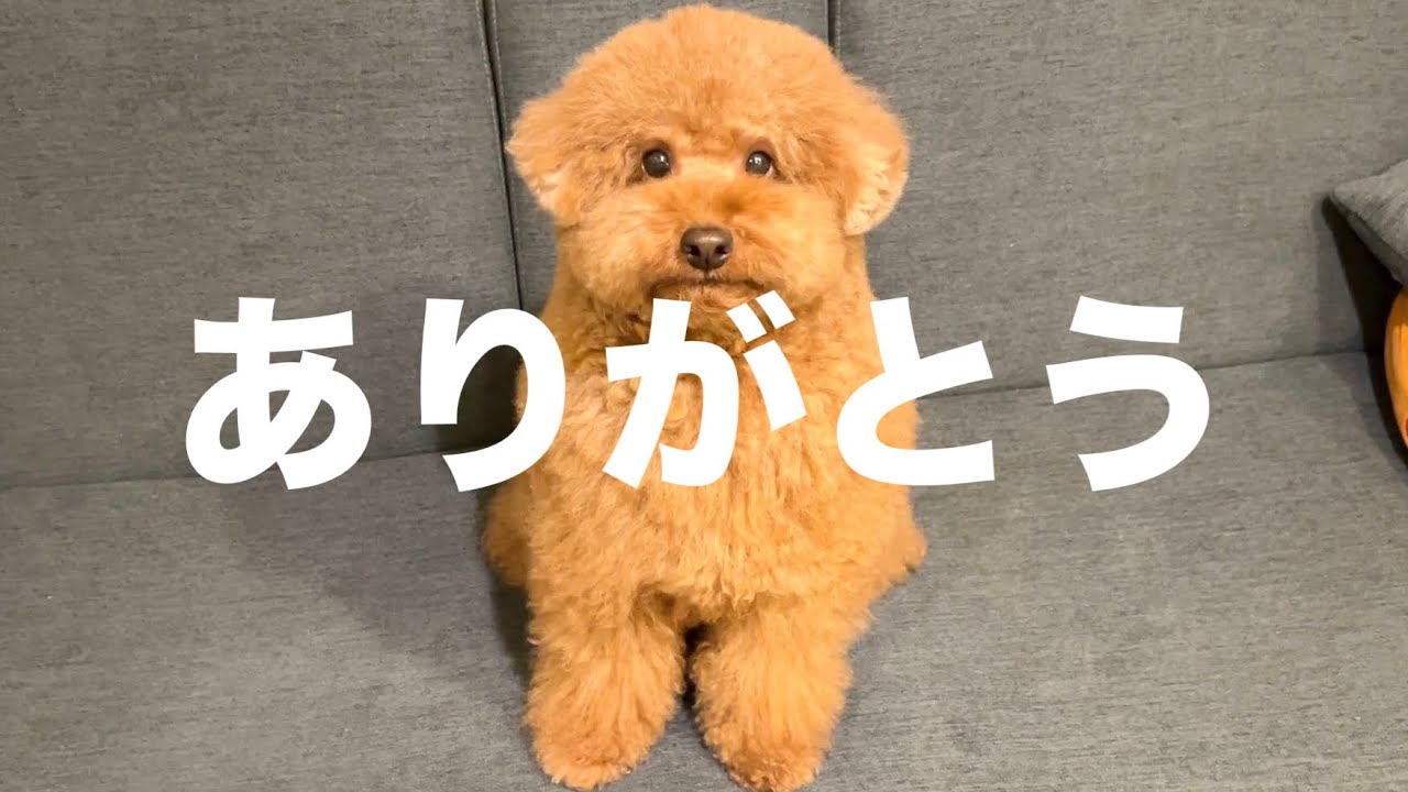 まさかのことが起きました。