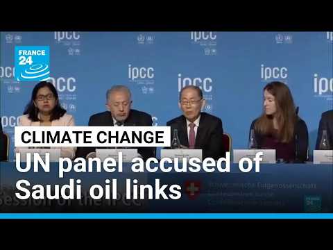 UN climate change body accused of conflict of interest, Saudi influence