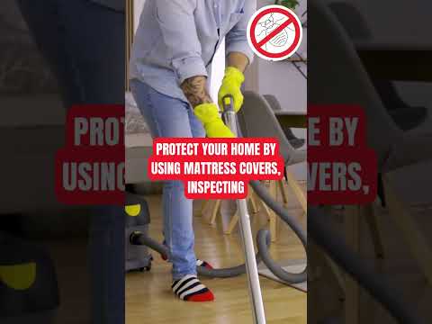 Preventing Bed Bug Infestations ✅  #bedbugscontrol