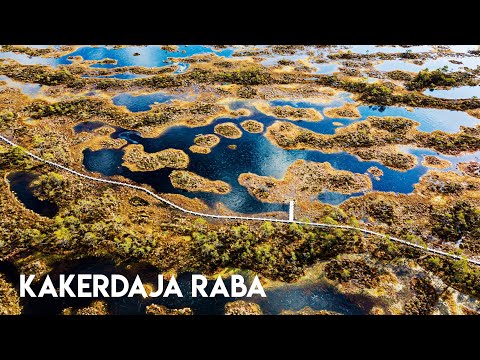 Kakerdaja raba  | 2020