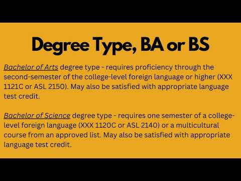 Interdisciplinary Studies | Mimi Bebe