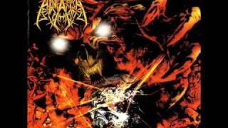 Anata  - The Temple/Erratic