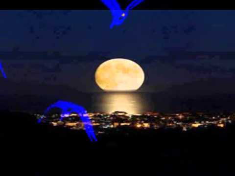 Volare (Interpreta Sir Flansi)