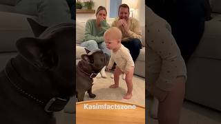 Download lagu 구독하세요! bachche ne dog ke sath ye kya kiya😱😂 ( part 03) #shorts #funny mp3