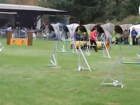 SV-Meisterschaft 2015 - Darmstadt - J 3 - Mailo