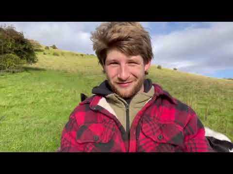 Day in the life of a shepherd