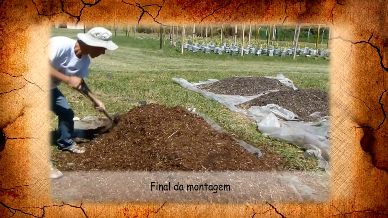 Como fazer compostagem 100% vegetal e gerar seu próprio adubo orgânico