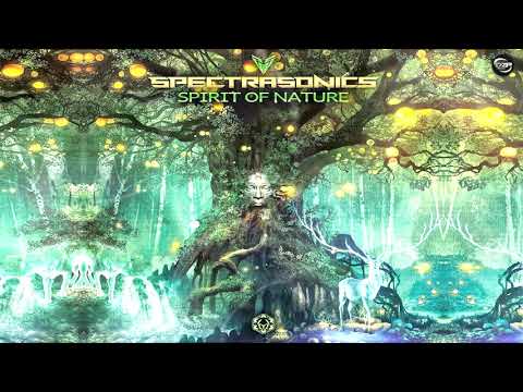 Hypnoise & Spectra Sonics - Face to Face