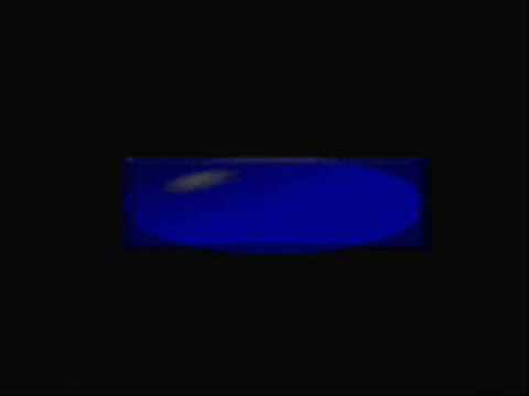 Neverland - Kate Lesing (Special Remix) Euro