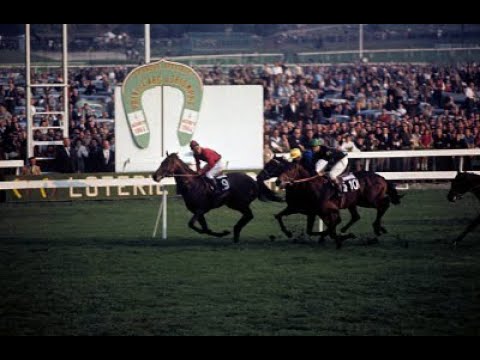 Irish Derby Winner Santa Claus' final race 2nd to Prince Royal II in 1964 Prix De L'Arc De Triomphe