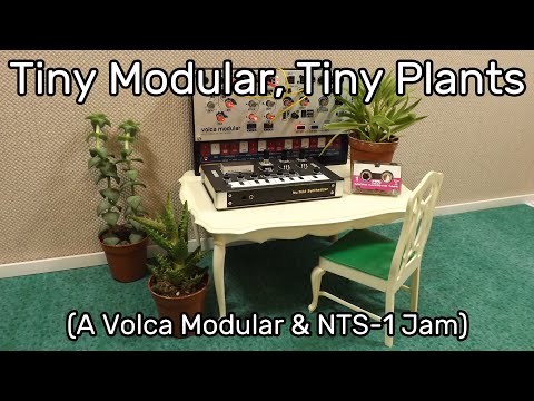 Tiny Modular, Tiny Plants - Korg Volca Modular and NTS-1 Jam
