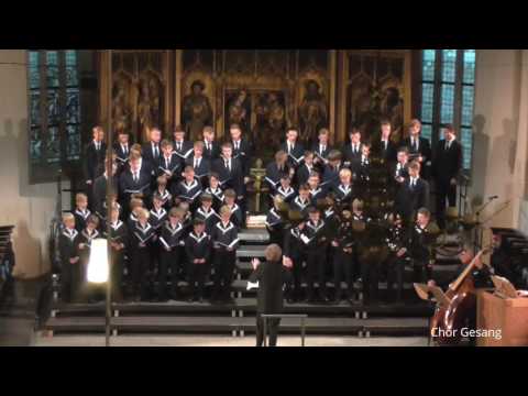 Thomanerchor Leipzig "Das ist je gewisslich wahr" Heinrich Schütz (St. Andreaskirche Eisleben 2016)