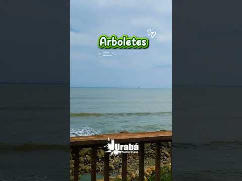 Arboletes en el Urabá antioqueño