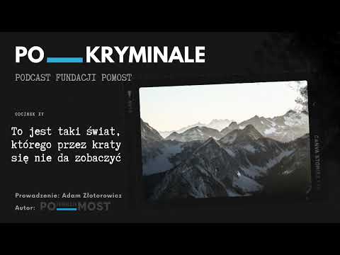 PO___KRYMINALE, ODC. XV