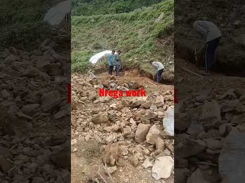 #shorts #shortsviral #shortvideo #shortsfeed #viral #nrega