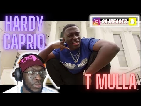 Hardy Caprio - Under The Sun ft. T Mulla (Official Video) - Reaction | SAJREACTS