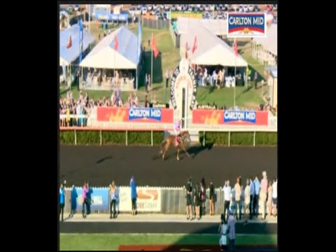 2015 DTC Darwin Cup _ Lightinthenite