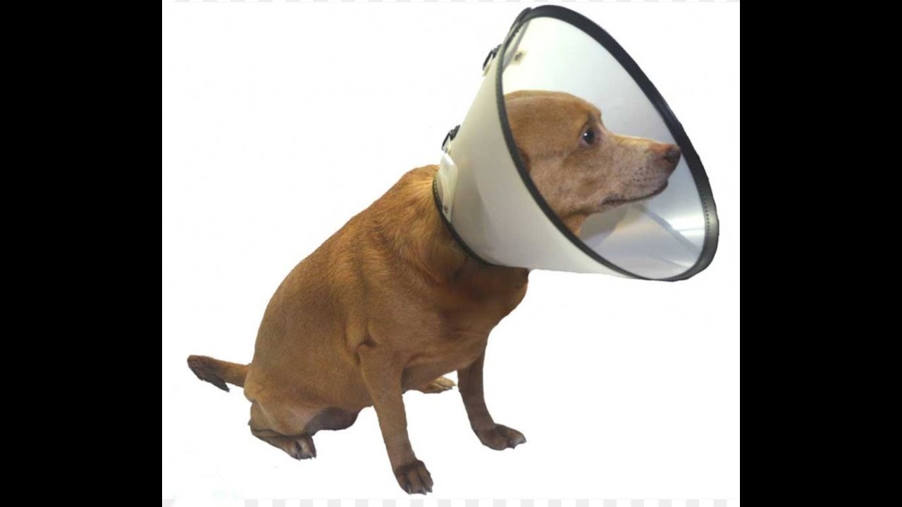 Miniatura do YouTube