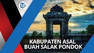 Kabupaten Sleman, Kabupaten di Daerah Istimewa Yogyakarta, Dikenal sebagai Asal Buah Salak Pondoh.