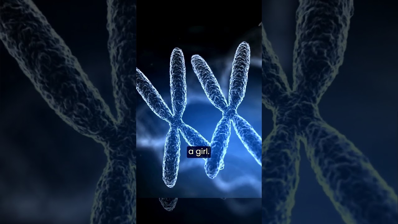 The DNA of JESUS.⚡ * Eucharistic Miracles*