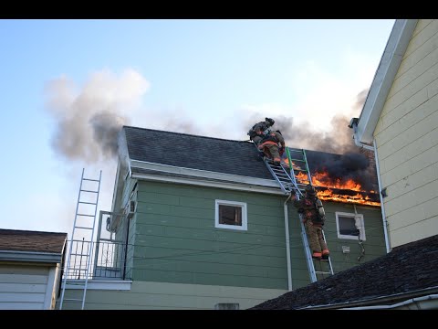 Buffalo FD 1+ Alarm - 115 Schiller St