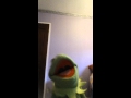 Kermit Is Lionel Richie