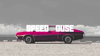 Download lagu SPEED HOUSE || Melodic Rhythms and Groove Adventures | Bass Anthem Evolution: History of Slap House mp3