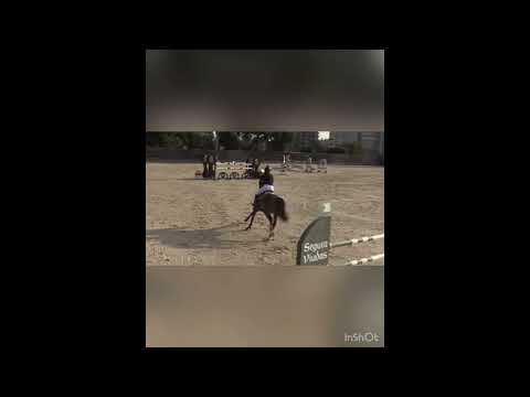 youtube preview