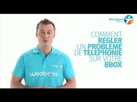 pourquoi la bbox bug
