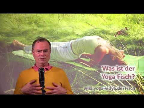 Was ist der Yoga Fisch