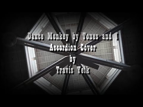'Dance Monkey' by Tones and I - S&T Online Accordion Competition 2022 - Travis Yeik