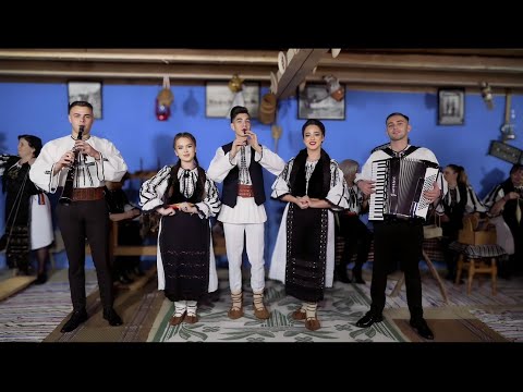 Tradițional Music - La Jina în șezătoare - Cover