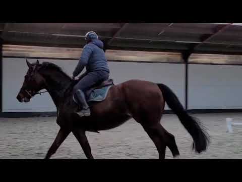 NO FEAR DE LA NOYELLE 2