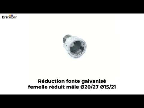 Réduction fonte femelle réduit mâle galvanisé - référence 246 CODITAL