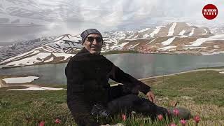 Eğrigöl 2022 Doğaseverler Dağ lalelerini ve Eğrigölü görmek için 25 km yürüdüler.