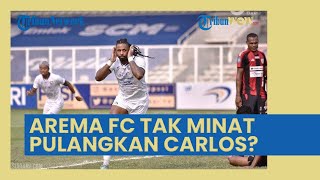 Arema FC Tak Minat Pulangkan Carlos Fortes? Rumornya Dicoret dari PSIS, Bisa Gantikan Abel Camara