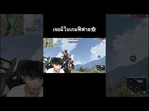 ฟีฟาย