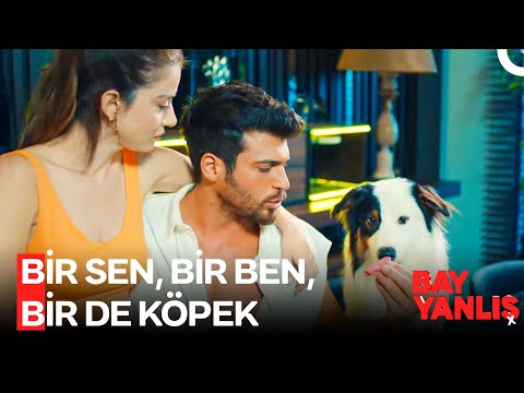 Mutluluğun Formülü Çok Açık - Bay Yanlış