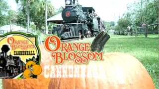 preview picture of video 'Ride the Pumpkin Limited Orange Blossom Cannonball Train in Tavares, FL'