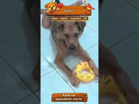 Vídeo de Scooby
