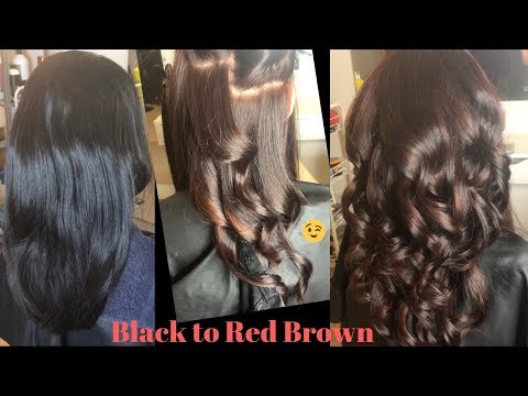 Black to Red Brown Hair Color ft Schwarzkopf Igora Royal