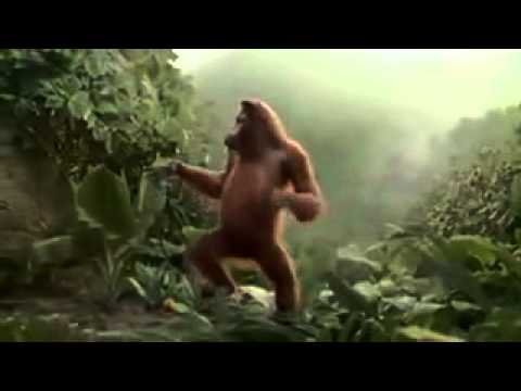 28 de novembro de 2014 11h37