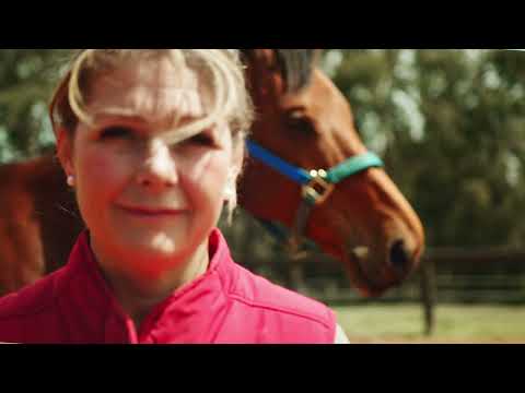 Beyond the Fire - Stories of hope - The stable project